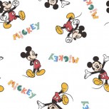 Mickey & Minnie